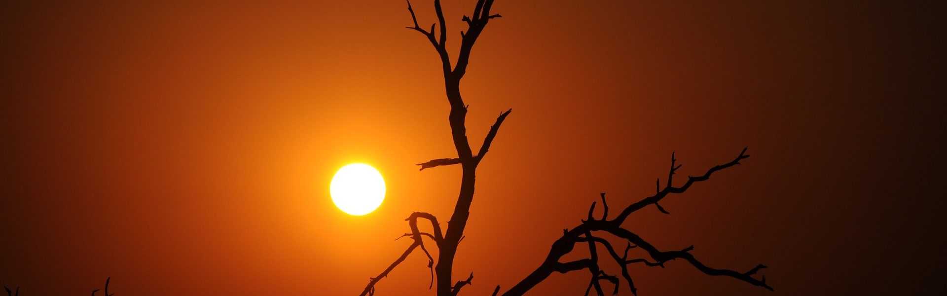 SUD AFRICA – SAFARI AFRICANO ACCESSIBILE IN CARROZZINA